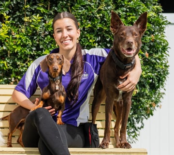 Fetch n Fun Wellness & Daycare, Gold Coast Fetch n Fun Wellness & Daycare, Gold Coast