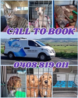 Take Me Home Pet Transport