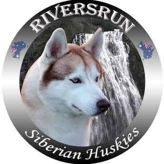 Riversrun Siberian Huskies 