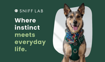 SniffLab : Enrichment, training and exploration gear for dogs