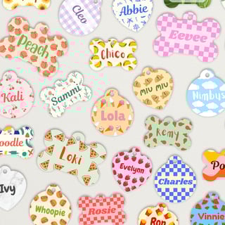 SNIFFY Tags SNIFFY Pet Tags