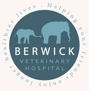 Berwick Veterinary Hospital