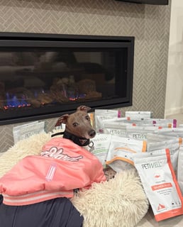 Pet Supplements and Treats - Petwell