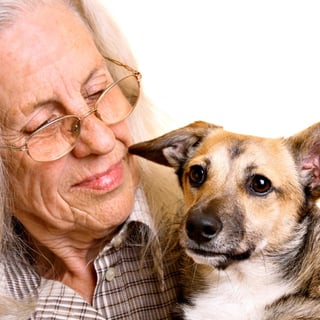 Pets and Positive Ageing - Keeping Older Pet Owners & Pets Together 