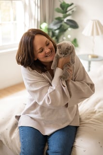 Golden Hour British Shorthairs 