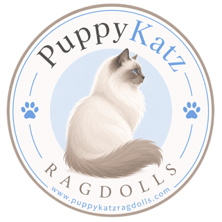 PuppyKatz Ragdolls