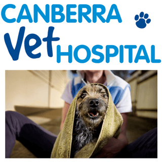 Canberra Veterinary Hospital - Open 7 days - Lyneham, ACT