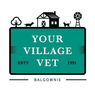 Balgownie Veterinary Hospital - Pet Boarding, Puppy School - Wollongong