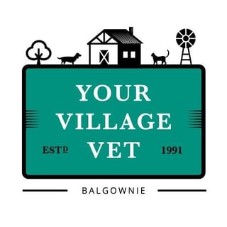 Balgownie Veterinary Hospital - Pet Boarding, Puppy School, Veterinarian - Wollongong