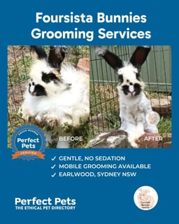 Foursista Bunnies - Grooming services 