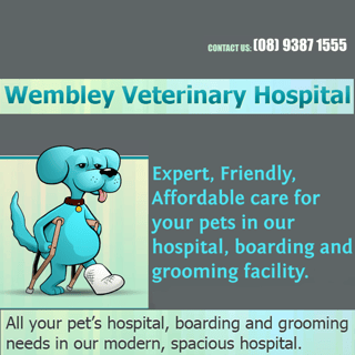 Wembley Veterinary Hospital - Vet, Puppy Training, Cat & Dog Boarding - Perth