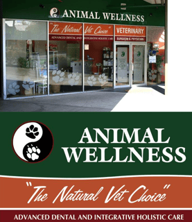 Animal Wellness Veterinary Surgery - Brisbane