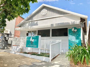 Plus One Vet Nundah Plus One Vet Nundah
