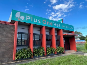 Plus One Vet Sunnybank Plus One Vet Sunnybank
