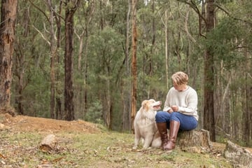 Border Collie & Mum Instinct Pet Photography
