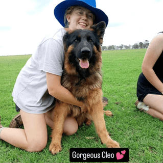 Prinkipas German Shepherds - Martha's Family Pets 