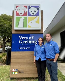 Vets of Geelong - Highton Vets of Geelong - Highton