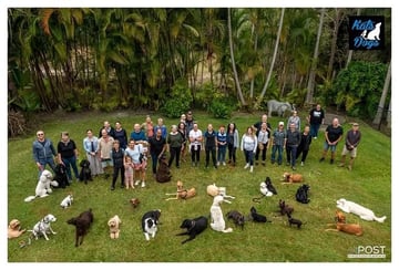 Kat's 4 Dogs - Sunshine Coast