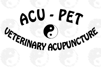 ACU-PET - Veterinary Acupuncture - Brisbane