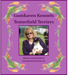 Gumhaven Kennel - Tenterfield Terrier Breeder - Dublin, SA