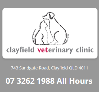 Clayfield Veterinary Clinic - Brisbane