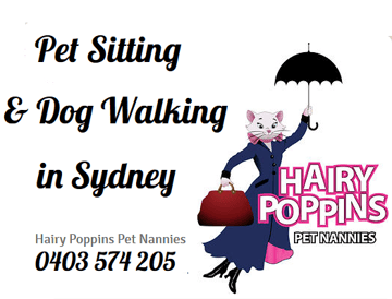 Hairy Poppins - Pet Sitting, Dog Walking - Sydney