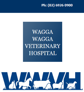 Wagga Wagga Veterinary Hospital - Vet, Puppy Preschool, NSW