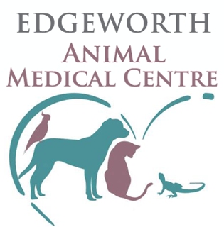 Edgeworth Animal Medical Centre - Newcastle