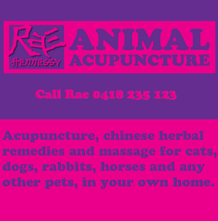 Animal Acupuncture - Sydney & Southern Tablelands