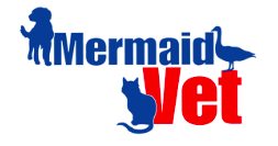 Mermaid Vet - Mermaid Waters Veterinary Surgery - Gold Coast