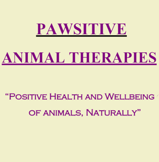 Pawsitive Animal Therapies - Melbourne