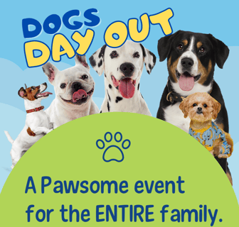 Dogs Day Out in Mawson Lakes 