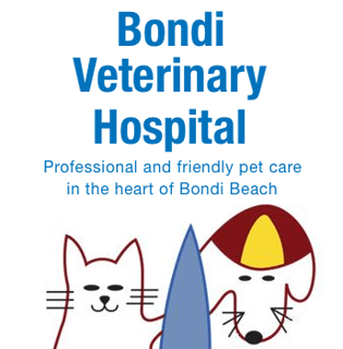 Bondi Veterinary Hospital - Sydney