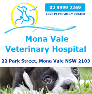 Mona Vale Veterinary Hospital 