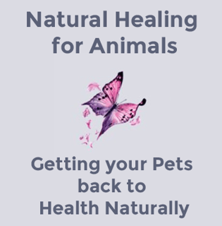 Natural Healing For Animals - Australia wide