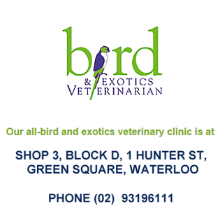 Bird & Exotics Veterinarian - Vet, Pet Boarding - Waterloo