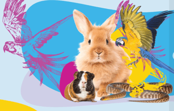 The Unusual Pet Vet - Sydney