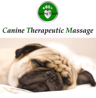 Loving Touch Canine Therapeutic Massage - Melbourne