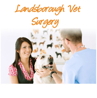 Landsborough Vet Surgery - Sunshine Coast