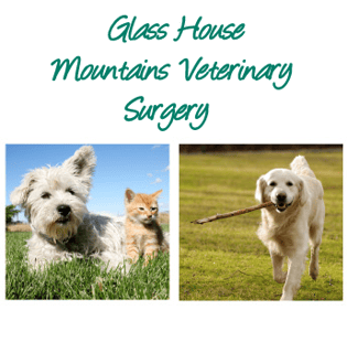 Glass House Mountains Vet Surgery