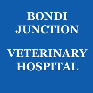 Bondi Junction Veterinary Hospital