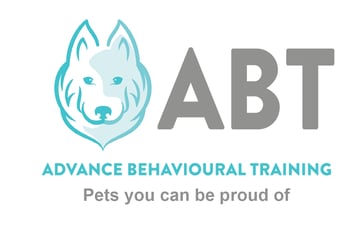 Advance Behavioural Training Indoor Training and Daycare Centre