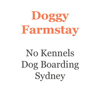 Doggy Farm Stay - Grooming and Dog Boarding - Middle Dural (45 mins Sydney CBD)