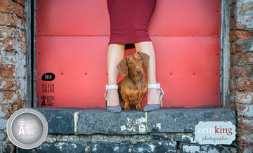 Erin King Photographer - Melbourne Pet Photography