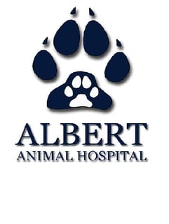 Albert Animal Hospital - Brisbane