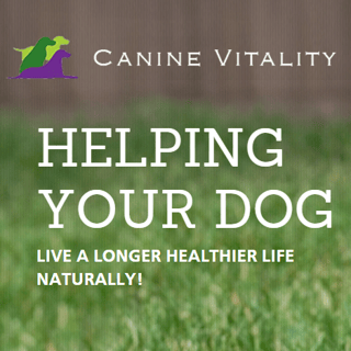 Canine Vitality - Canine Naturopathy Service - Rothwell, Brisbane, QLD