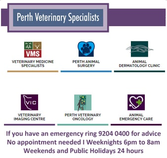 Perth Veterinary Specialists