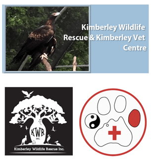 Kimberley Wildlife Rescue & Kimberley Vet Centre - Kununurra