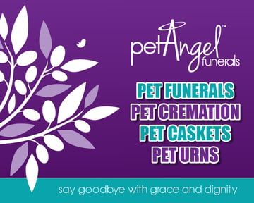 Pet Angel Funerals - Gold Coast, Brisbane & Northern NSW