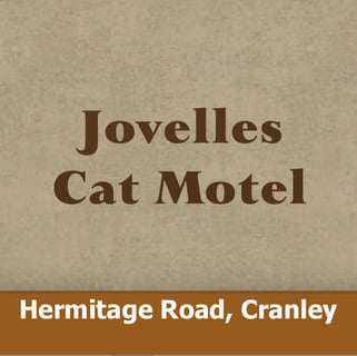  Cattery, Cat Boarding Toowoomba - Jovelles Cat Motel -